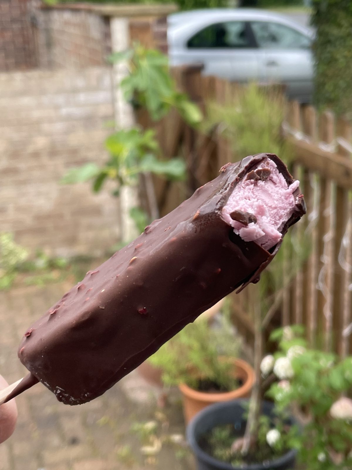 Gianni's Dairy Free Ice Cream Aldi Dairy Free Daisy